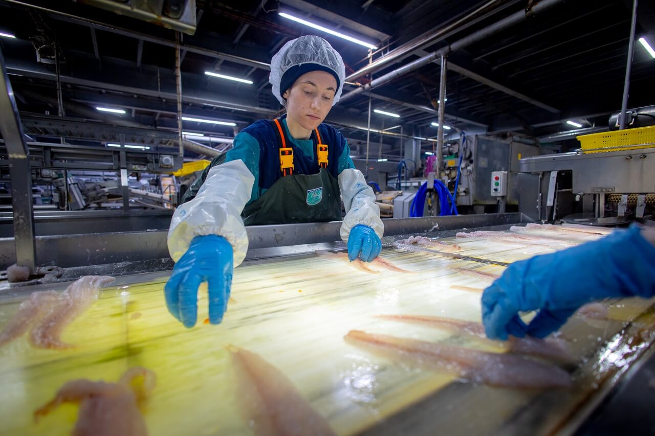 Основной альбом