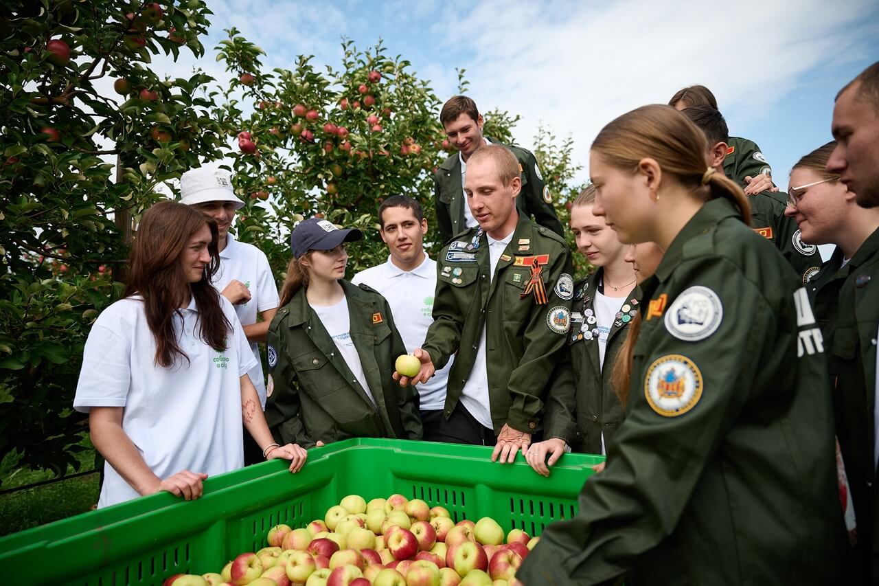 Основной альбом